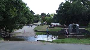 Wyndley Ford Sutton Park My First Paddling Pool To The Left Is A Wooden Foot Bridge Where I Used A Fishing Net To Sutton Park Sutton Coldfield Urban Park