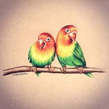 Love Bird Painting Colored Pencils 49 Ideas For 2019 Color Pencil Sketch Color Pencil Art Bird Drawings