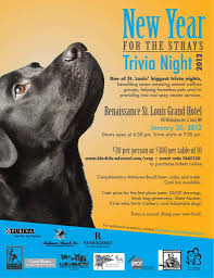 Trivia Night For Strays Trivia Night Trivia Night