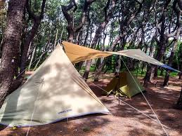 釣りもできる神奈川の穴場キャンプ場 茅ヶ崎柳島キャンプ場 レビュー キャンプ キャンプ場 穴場