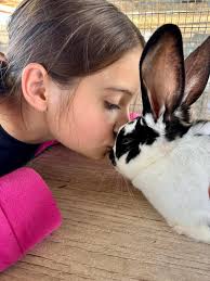 Ranch Up, Bad Breed! 🤠🔥