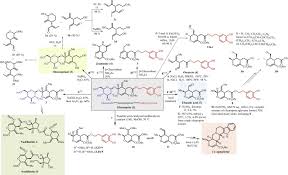Hydroxytyrosol An Overview Sciencedirect Topics