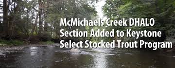 mcmichael creek dhalo section among waters added to keystone