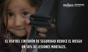 Fabiola Olvera Archivos