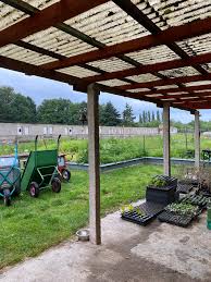 My Berlin Countryside Awakening at Leos Farm | by Karina Cope | Medium