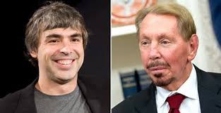 14 cats die after fire burns down Lealman animal rescue