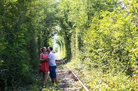 Tunelul iubirii a fost descoperit întâmplător de doi fotografi amatori din oţelu roşu. Tunelul Iubirii Din CaraÈ™ Severin Mirela S Mood