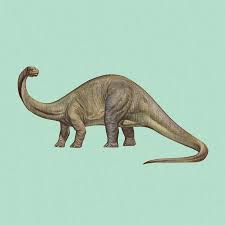 Team broncosaurus 2020, is one of just 15 teams from around the world, with just 10 months for build time, then a 1400. Scientists Say It S Time To Reinstate The Brontosaurus Wired