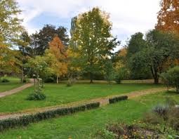 Maybe you would like to learn more about one of these? Alter Botanischer Garten Marburg Gps Wanderatlas
