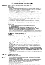 information technology consultant