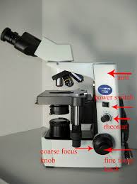 Brightfield microscope is also known as the compound light microscope.it is an optical microscope that uses light rays to produce a dark image against a bright background. Bio 205 The Microscope Flashcards Quizlet