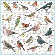Birds Of Eastern North America Puzzle Birdsong Jigsaw Puzzle Bird Art Bird Artwork Inspirational Artwork