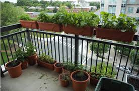 Although there isn't enough room. Balcony Gardening Tips India Balcony Gardening Ideas For Beginners