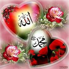 This page is about allah name with flower,contains 87: Rose Wallpaper Allah Muhammad