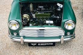 Image result for Island Green 1965 Morris