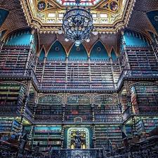 Rich Pellegrino On Instagram Portuguese Reading Room Cabinet Of Reading Rio Bookstagram Reading Reading Room Beautiful Homes Instagram