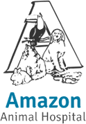 Learn about our pet clinic in chula vista ca, and meet our compassionate veterinarians, office staff, groomer & veterinary technicians. Veterinarians In Chula Vista Ca Amazon Animal Hospital