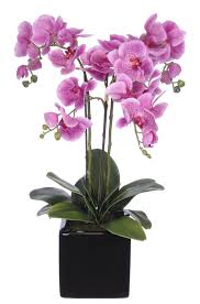 The vases perfectly support a bouquet for easy arranging and look equally appealing when empty. Flowers Drawings Inspiration Orchid Arrangement In Cube Ceramic Vase Flowers Tn Leading Flowers Magazine Daily Beautiful Flowers For All Occasions