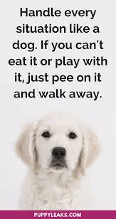 30 Cute Funny Dog Quotes Puppy Leaks Dog Quotes Funny Dog Quotes Snarky Quotes
