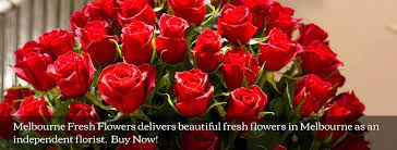 Check spelling or type a new query. About Us Melbourne Fresh Flowers
