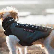 Predator Vest Puncture Resistant Pet Armor Deters Coyote