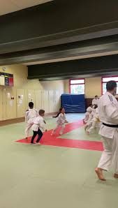 Clarisse agbegnenou, (born on 25 october 1992) is a female french judoka in the −63 kg weight division. Dojo Olympic Posts Facebook