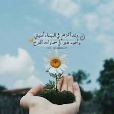 صور جميلة 2021 اجمل صورجميلة رائعة hd in 2021 instagram posts instagram photo