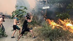 Jun 15, 2021 · in algerien ist nach offiziellen angaben die regierende nationale befreiungsfront (fln) als sieger aus der parlamentswahl hervorgegangen. 9c11hbqvrrrt5m