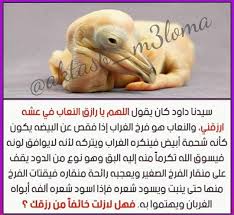 Aktasb M3loma Posted On Instagram Jul 7 2020 At 3 43pm Utc Instagram Life Quotes