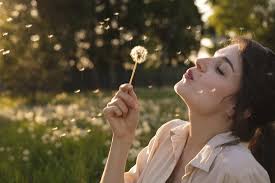 UK Pollen Calendar: What Seasons are the Worst for Hayfever?