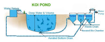 Bottom Drain Untuk Memaksimalkan Fungsi Filter Kolam Koi