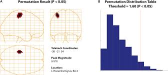 24 hourly twice a week. Frontiers Brainwave A Matlab Toolbox For Beamformer Source Analysis Of Meg Data Neuroscience