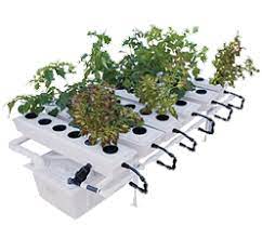 Lawn And Garden Center In Tallahassee Florida Lawn And Garden Hydroponics System Garden Center