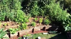 L'auteur, kurt forster, est l'un des pionniers de la permaculture. Presentation De Mon Petit Potager Sur Butte En Ile De France Inspiration Permaculture Youtube