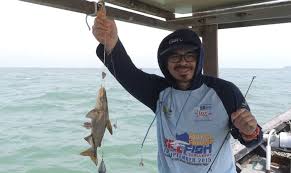 Free gps fishing spots for south carolina saltwater fishing for both inshore and offshore fishing the sc coastal waters. 81 Back To My Roots Sasaran Fishing The Angler