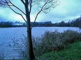 Maybe you would like to learn more about one of these? Ambuhrener See Bei Cloppenburg Gewassersteckbrief Anglermap