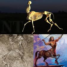 What is the legend of the Thessaloniki centaur skeleton?
