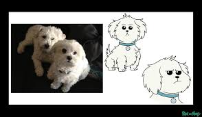 1200 x 630 jpeg 99kb. Facebook