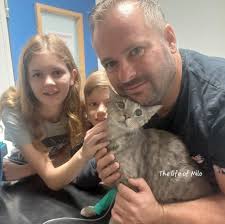 Fundraiser by Victoria Formston : Please help us save Milo's life