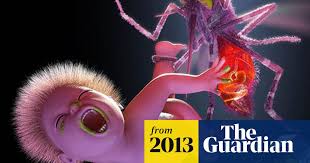 The last in my series of songs titled nobody's fool. Yeah Yeah Yeahs Fans Say Mosquito Album Artwork Sucks Yeah Yeah Yeahs The Guardian