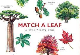 New leaf game has a new lease on life thanks to the addition of amiibo. Match A Leaf A Tree Memory Game Kirkham Tony Exley Holly 9781786272287 Amazon Com Books
