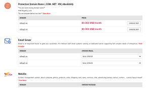 How To Register A Vietnam S Domain Vn And Com Vn Domains