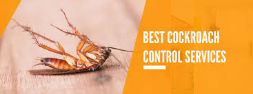 Pest control should be maintained using of those problem and terminate. Call Us 8318145337 Cockroach Pest Control Services Noida