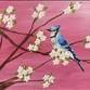 Happy Hour $5 OFF ~ Birdwatching - Blue Jay event image