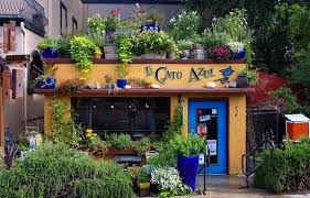We would like to show you a description here but the site won't allow us. Very Nice For Multiple Small Dishes Review Of El Gato Azul Prescott Az Tripadvisor