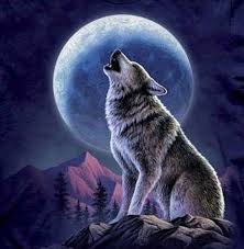 Cross stitch pattern pdf fabric: Wolf And Moon Cross Lone Wolf Cross Stitch Patterns Look