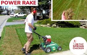 Black And Decker Edge Hog Blade Replacement Your Property Maintenance Specialists For A Limited Time Only You Can Save 20 On All Our Services By Liking Our Facebo Instagram Spring Chicken Limited Time