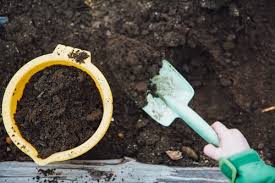 This premium proprietary blend allows proper drainage and for oxygen to reach roots. Can You Use Succulent Cactus Soil For Regular Plants Easy Succulent Care