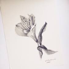 Victoria Gutkovskaya On Instagram Alstroemeria Lilies Drawing Flower Tat Drawings
