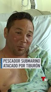 Sharks Zachary Taylor Key West